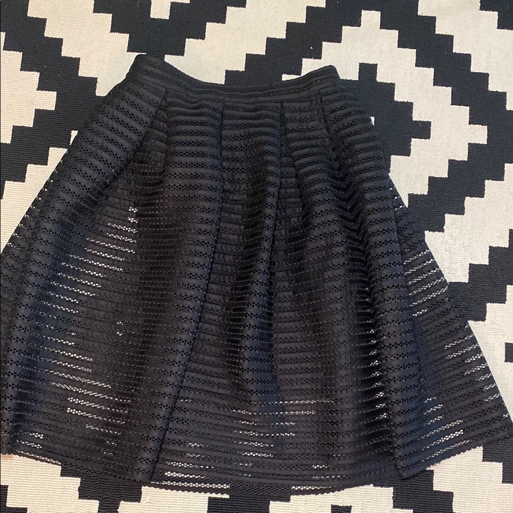 Black A-Line Mesh Skirt